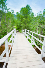 White wood bridge in norway