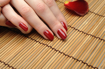 Obraz na płótnie Canvas Beautiful hand with perfect nail red manicure and rose petals.