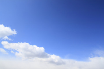 Fototapeta premium 青空と白い雲