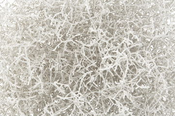 Branchage conception