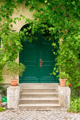 Fototapeta na wymiar Zielony Front Door