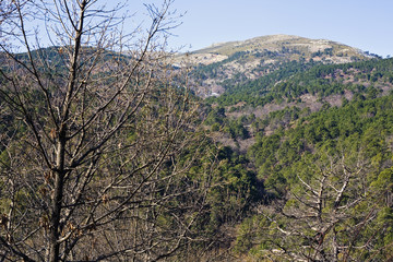 Pico Casillas
