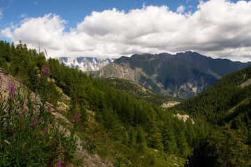Fototapeta na wymiar Alpi in estate