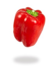Red Capsicum