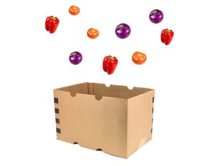 Vegetable Box
