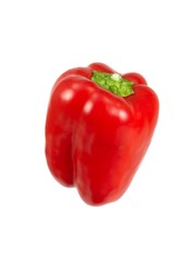 Red Capsicum