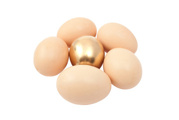 eggs