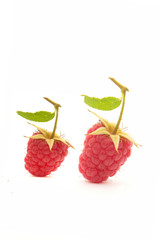 raspberries