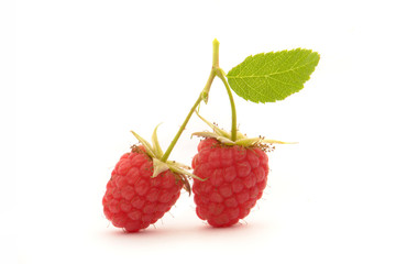 raspberries