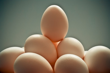 eggs