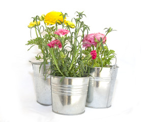 pots de fleurs