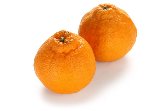 รูปภาพDekopon เลือกดูภาพถ่ายสต็อก เวกเตอร์ และวิดีโอ2,052 Adobe Stock