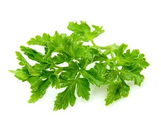 Curly parsley