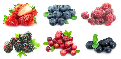 Collection of berries