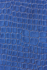 Fototapeta premium Blue crocodile leather imitation texture .