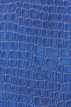 Blue crocodile leather imitation texture .