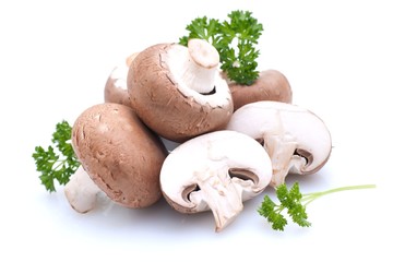 Champignon