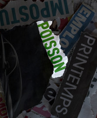 poisson