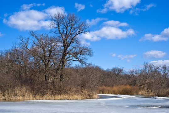 spring river landscape