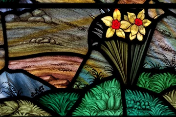 Crédence de cuisine en verre imprimé Narcisse Daffodil Garden Stained Glass