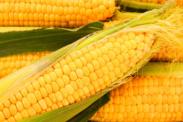 Few yellow corn