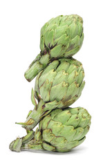 Fototapeta premium artichokes