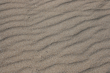 Wavy Sand Texture
