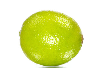 lime