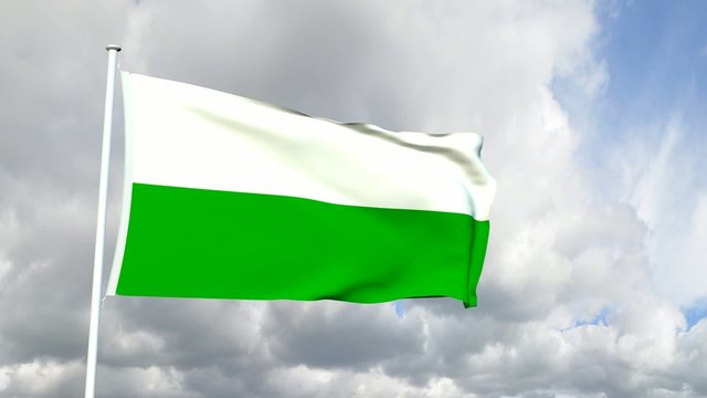 Deutschland - S&auml;chsische Flagge