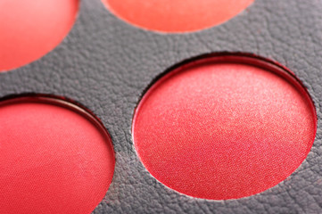 Blushes close-up