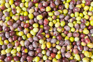 Freshly Harvested Olives Background