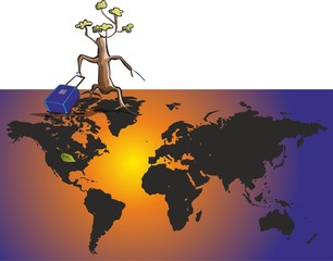 arbol viajero © corocota