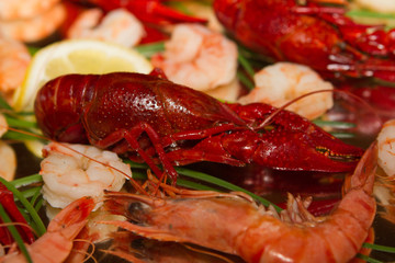 Red Lobster or Crayfish