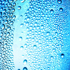 macro water drops