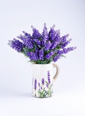 Colourful Flower / Plant