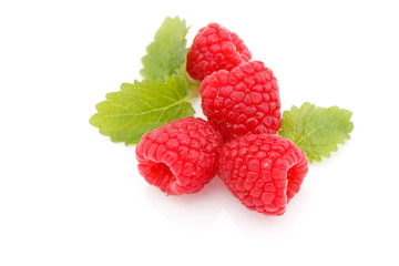 fresh raspberry