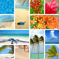 Tropical collage. Exotic travel.