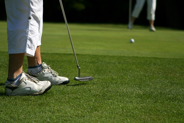 Obraz premium Golfers