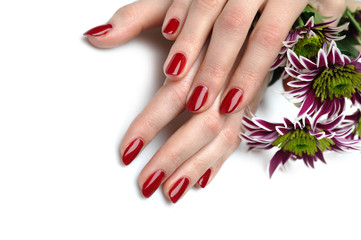 Beautiful hand with perfect nail red manicure and violet exotic