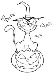 Outlined Cat on Pumpkin