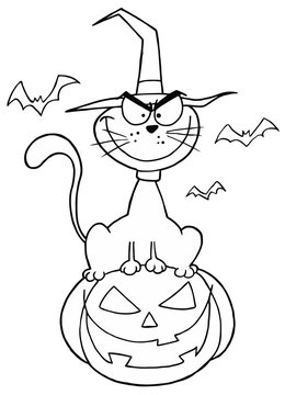 Outlined Cat on Pumpkin