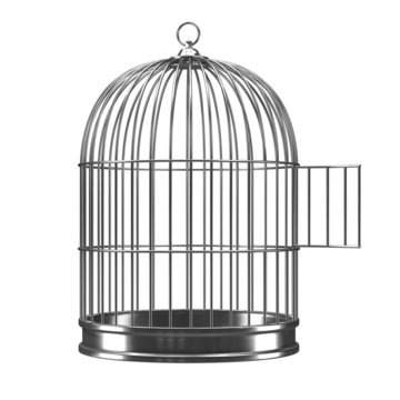 3d Silver bird cage with open door