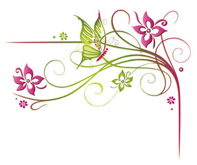 Ranke, Frühling, flora, Blumen, Blüten, filigran, grün, pink