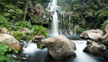 Fototapeta premium Cascade du bassin des Aigrettes - Ile de La Réunion
