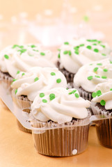 Choloate Cupcake with White Frosting and Green Sprinkles
