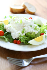 Salad with Egg and Cottage Cheese
