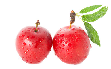 wet ripe plums - 30990553