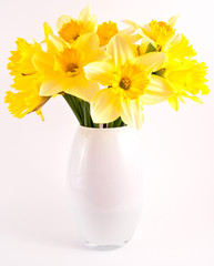 daffodil flowers in glass vase.