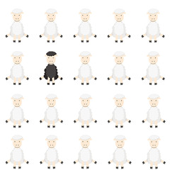 Obraz premium flock of sheep