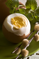 Wielkanocne jajko © Justyna Kaminska